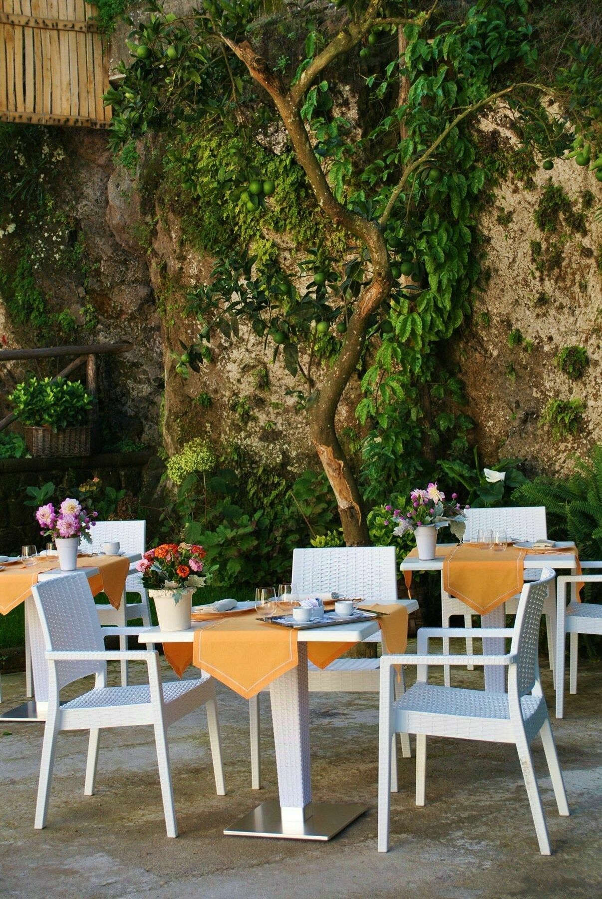 Il Palmento Relais Bed & Breakfast Piano di Sorrento Exterior photo